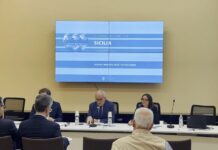Bankitalia, nel 2024 la Sicilia cresce più del Sud con +1% Pil