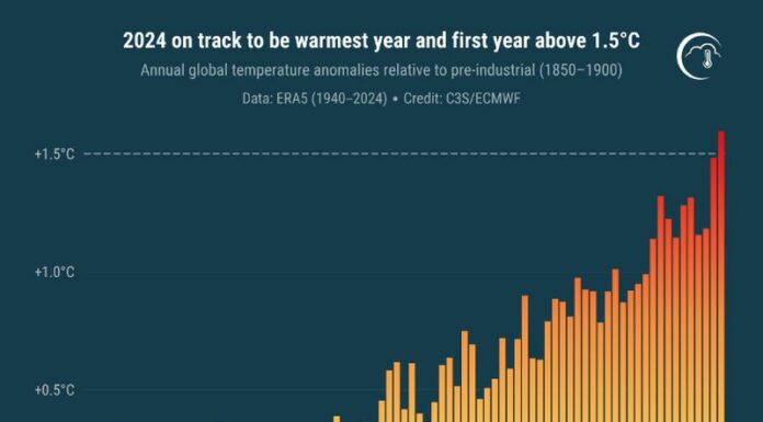 Allarme Copernicus, il 2024 sarà l’anno più caldo di sempre