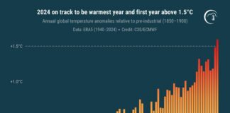 Allarme Copernicus, il 2024 sarà l’anno più caldo di sempre