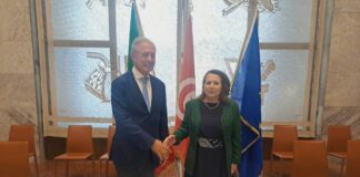 Italy-Tunisia, focus on renewable energy and vital raw materials