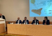 “La Sicilia verso il Green”, passi avanti ma non ancora sufficienti