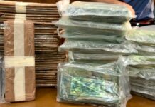 Traffico di droga tra Spagna e Napoli gestito dalla camorra, 33 arresti