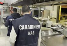 Controlli dei Nas nelle mense scolastiche, irregolari 1 su 4