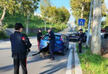 Controlli dei Carabinieri nei quartieri Eur e Corviale a Roma, 1 arresto e 5 denunce