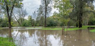 Comazzi “Salvaguardare fiumi lombardi per ridurre rischio alluvioni”