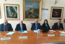 Bankitalia, nei primi 6 mesi del 2024 crescita modesta economia Calabria