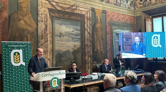 Lavoro, Confagricoltura “Infortuni in calo nel settore agricolo”