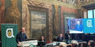 Lavoro, Confagricoltura “Infortuni in calo nel settore agricolo”