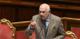 نورديو: أتمنى إجراء استفتاء حول الفصل بين المهن