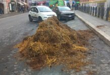 Blitz ambientalisti davanti al Viminale, attivisti scaricano letame