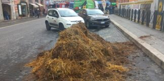 Blitz ambientalisti davanti al Viminale, attivisti scaricano letame