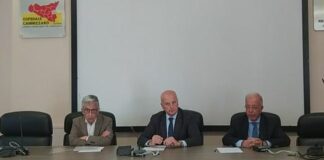 In Sicilia 253 trapianti di organi nel 2024, la regione modello di riferimento