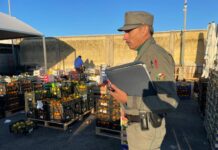 Sequestri al mercato di Siracusa, Schifani “Tuteliamo il made in Sicily”