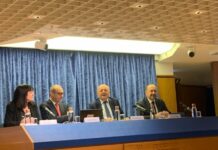 Strategia nazionale sull’idrogeno, Pichetto “Soluzione fondamentale”