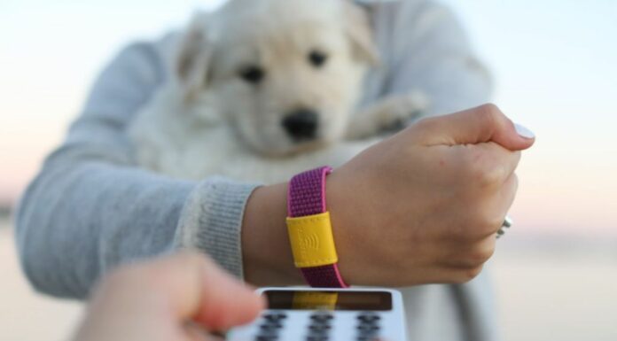 Intesa Sanpaolo e Mastercard con Tapster, arriva il Payment Bracelet