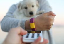 Intesa Sanpaolo e Mastercard con Tapster, arriva il Payment Bracelet