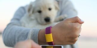 Intesa Sanpaolo e Mastercard con Tapster, arriva il Payment Bracelet