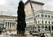 Arrivato l’albero di Natale che illuminerà piazza De Ferrari a Genova
