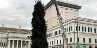 Arrivato l’albero di Natale che illuminerà piazza De Ferrari a Genova