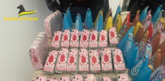 Duro colpo alle piazze di spaccio di Roma, sequestrati 55 kg di droga