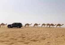 Prototipi della Range Rover elettrica affrontano test nei climi caldi