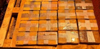Malta seizes 100 kg of cocaine from Ecuador