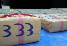 Spagna: sequestrate nelle Canarie oltre 4,7 tonnellate di hashish