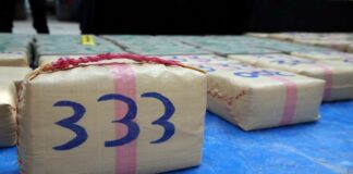 Spagna: sequestrate nelle Canarie oltre 4,7 tonnellate di hashish