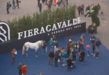 Fieracavalli a Verona, Regione Veneto presente con il proprio stand e una serie di appuntamenti