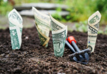 Risparmiare e Investire: differenze e consigli investimenti