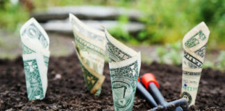 Risparmiare e Investire: differenze e consigli investimenti