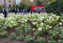 Brugnaro “90 mila metri quadri di aiuole adottate atto d’amore per città”