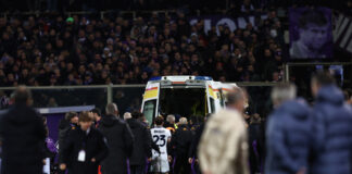 Bove in terapia intensiva, esclusi danni acuti