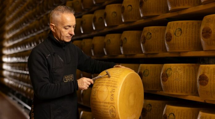 Parmigiano Reggiano, battitura al via per controllare la qualità