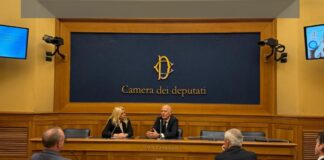 Nasce l’Intergruppo parlamentare per endocrinologia e diabete pediatrico