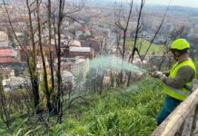 Riserva Monte Mario, Alfonsi “Continua rigenerazione post incendio”