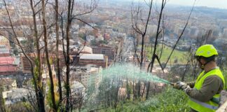 Riserva Monte Mario, Alfonsi “Continua rigenerazione post incendio”
