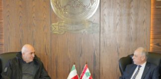 كروسيتو: اليونيفيل أساسية في لبنان لكن يجب تحديث قواعد الاشتباك