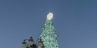 Milano-Cortina, folla in Duomo per accensione albero dei Giochi 2026