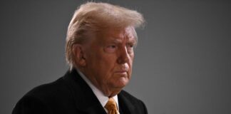 ترامب: زيليسكي يرغب في التوصل لاتفاق لوقف جنون الحرب