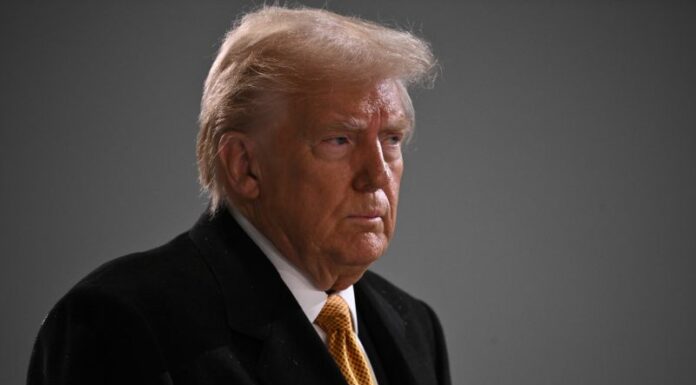 Ucraina, Trump “Zelesky vorrebbe l’accordo, fermare questa follia”