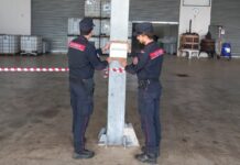 Sequestrato un frantoio a Lamezia Terme, denunciato il titolare