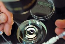 Procreazione assistita è nei LEA, Salutequità “Evitare diseguaglianze”