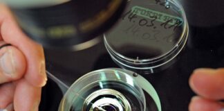 Procreazione assistita è nei LEA, Salutequità “Evitare diseguaglianze”