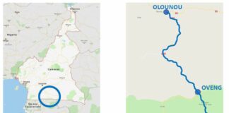 Camerun, 70 km di strada asfaltata Made in Italy grazie a SACE, SIMEST e Deutsche Bank