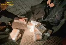 Traffico di droga tra Calabria e Sicilia, smantellata organizzazione