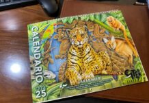 Carabinieri, il calendario CITES 2025 dedicato al Sud America