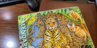 Carabinieri, il calendario CITES 2025 dedicato al Sud America