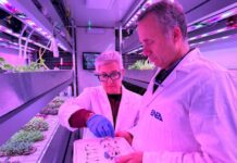 Modulo hi-tech Enea per coltivare micro-ortaggi su Luna e Marte