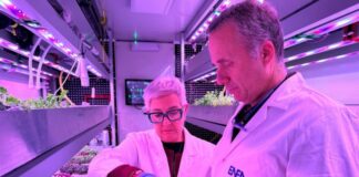 Modulo hi-tech Enea per coltivare micro-ortaggi su Luna e Marte